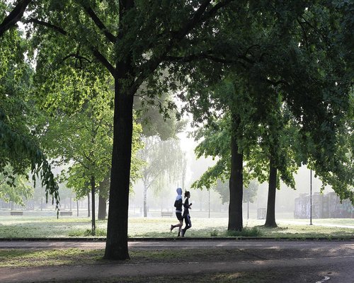 People jogging in a beautiful green park